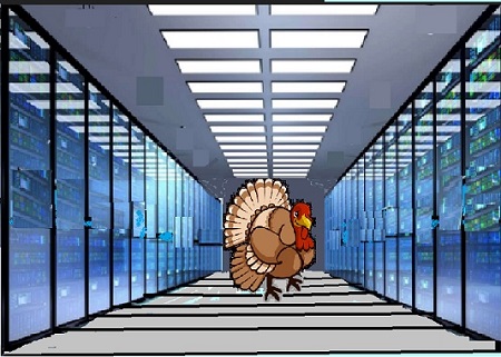 There's a Turkey in My Data Center!